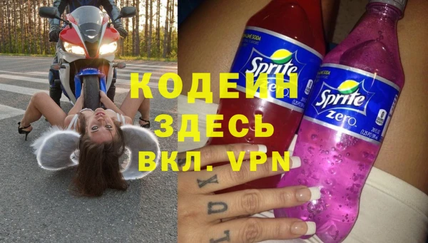 прущие грибы Абаза