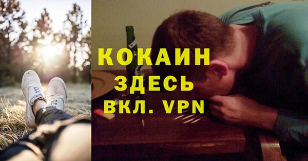 индика Семилуки